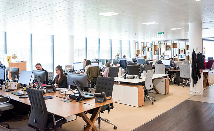 Sound masking system in an open plan office reducing distractions, improving speech privacy, and enhancing employee focus and comfort.