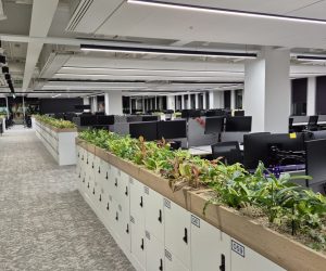 "Sound masking speakers installed in the ceiling of an open-plan office to reduce noise distractions and enhance speech privacy.